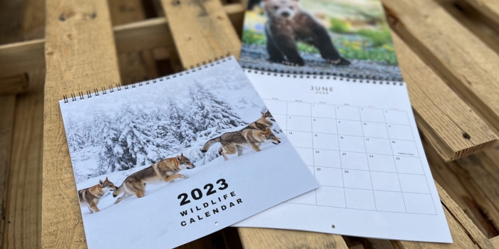 Little Rock business cards