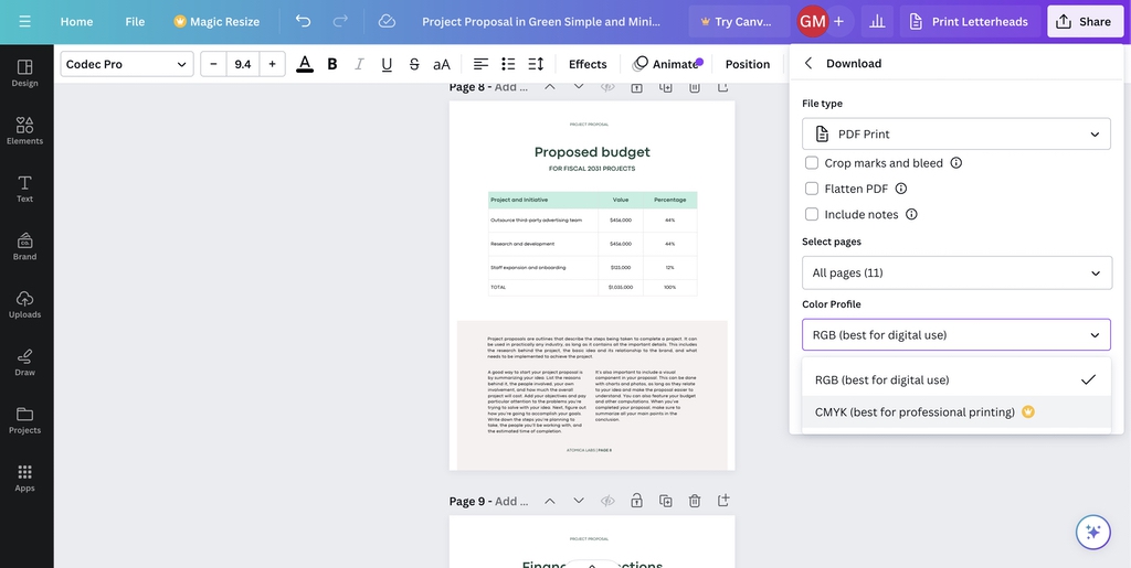 How to Design & Print Custom Documents Using Canva 6 Choosing download settings in Canva before sending print ready files to Little Rock for document printing