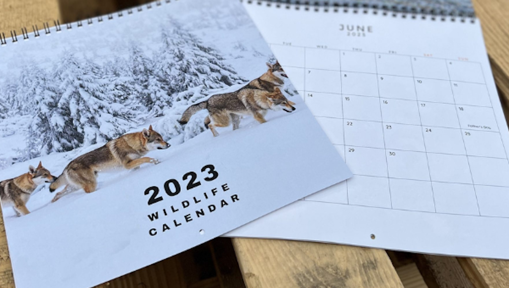 6 Cost-Effective Ways to Promote Your Business with Printed Calendars 3 2023 wildlife calendar printed by Little Rock Printing